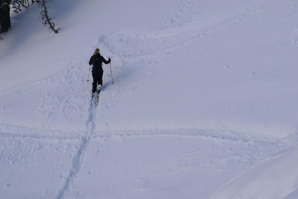 Hotel Continental Dolomites Sëlva di Val Gardena Eksteriør billede